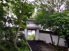 -上海佘山国家森林公园天马山园