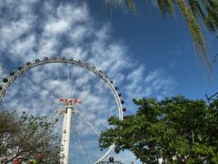 -北京石景山游乐园