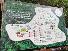 -野象谷景区