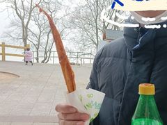 -巢湖姥山岛