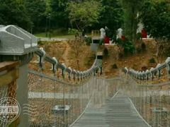 -东莞植物园