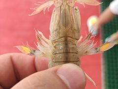 -仙螺岛海鲜自助餐厅(总店)