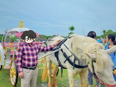 -长洲岛都市农业公园
