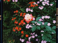 -盛邦家居建材广场