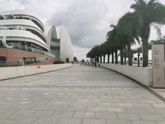 -野狸岛