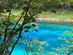 -西姆山居酒店(九寨沟沟口店)