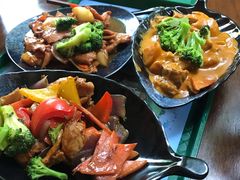 -雨林餐厅(长隆海洋王国店)