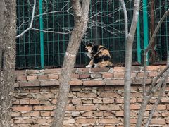 -北京西山国家森林公园