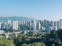 -金鸡山公园