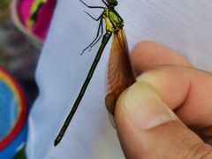 -碓臼峪自然风景区