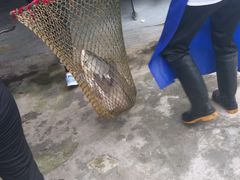 -溪悦渔庄(九龙湖店)