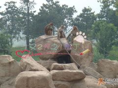 -西安秦岭野生动物园