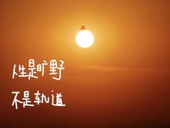 -后襄河公园