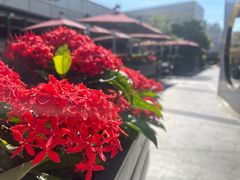 -胜记酒家·风味线(南山花园城店)