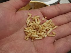 -海底捞火锅(大融城店)