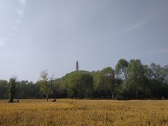 -北坞公园