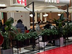 -顺风汤馆·广府粤菜(江宸天街店)
