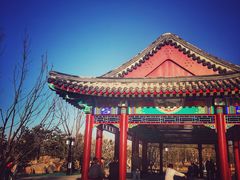 -西海子公园