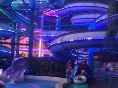 -重庆海昌加勒比海水世界