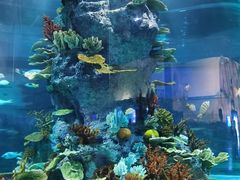 -福州罗源湾海洋世界旅游区