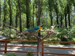 -北京野生动物园