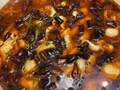 -蜀都丰 正宗水煮鱼(建德天城店)