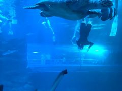 -太平洋海底世界