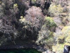 -叠溪松坪沟景区