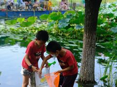 -白塘生态植物园