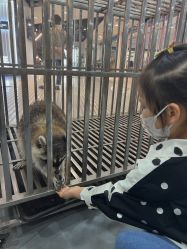 -Moni星球萌宠·小马宝莉·灵蛇·高端高阶全萌宠互动体验俱乐部(红豆国际广场店)