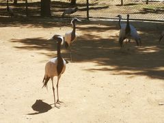 -秦皇岛野生动物园