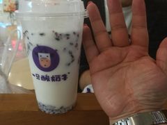 -一只酸奶牛(八一路店)