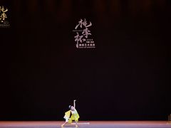 -DC少儿舞蹈培训中心(人民桥店)