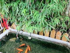 -顺承小院儿