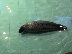 -锦艺城海洋馆