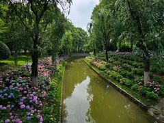 -上海鲜花港