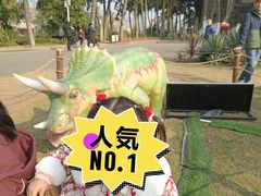 -自贡恐龙博物馆