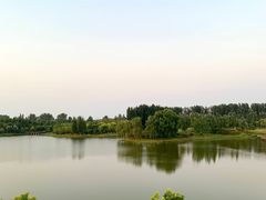 -东郊湿地公园