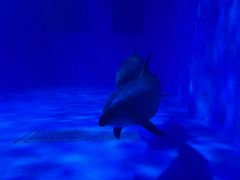 -多彩贵州城极地海洋世界