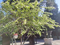 -大钟寺古钟博物馆