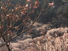 -崂山九水游览区