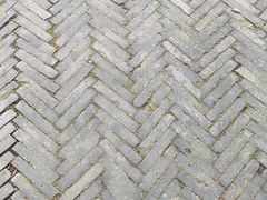 -上海佘山国家森林公园天马山园