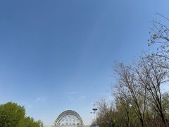 -大青山野生动物园