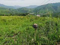 -灵山