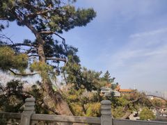 -黄鹤楼