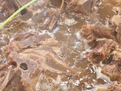 -芦月轩羊蝎子(北蜂窝店)