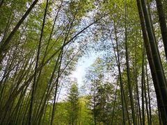-千泷沟大瀑布旅游区
