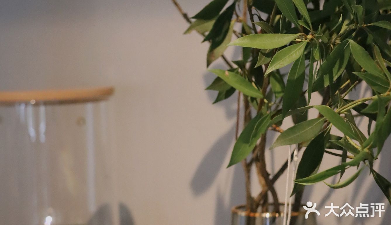 大井巷这家木结构的茶屋,是不是太火爆了