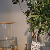 大井巷这家木结构的茶屋,是不是太火爆了