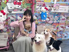 -汪说·狗咖(旺城大厦店)
